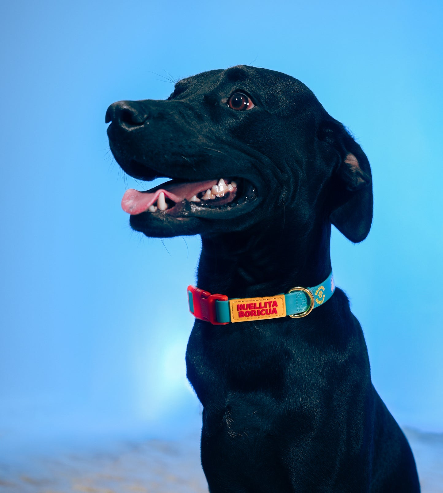 Collar Huellita Boricua